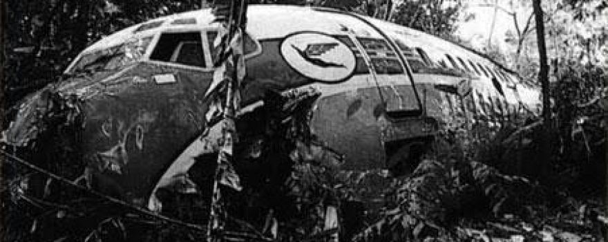Varig 254