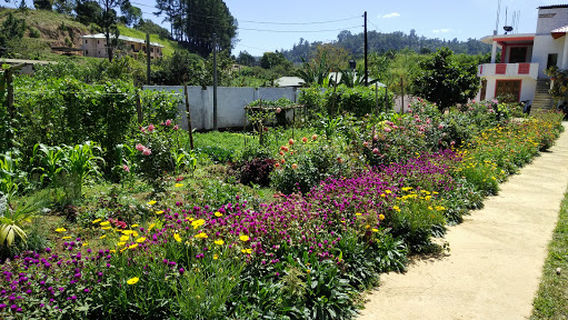 Agriculture Dep Bandarawela