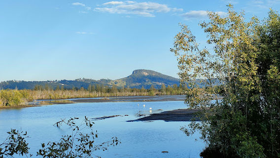 Yandina Creek Wetland