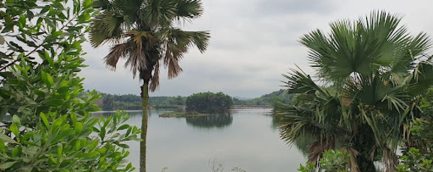 Hồ Minh Quân