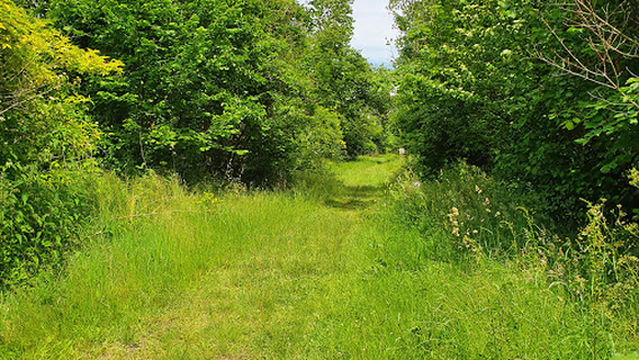 Balls and Arrows Lelystad