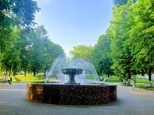 Square Chekhov