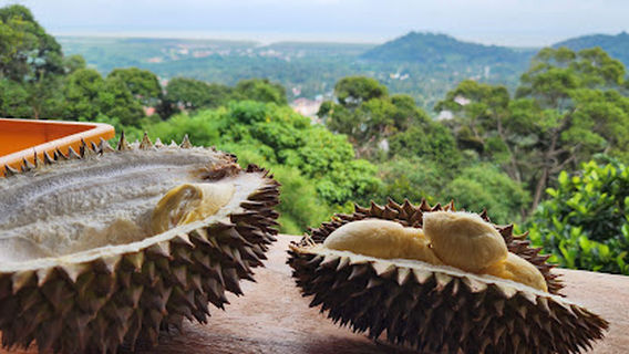 Balik Pulau