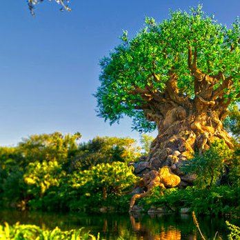 Mickey's Kingdom Park