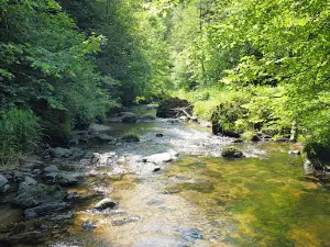 Pesenbachtal