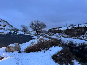 화이트 술푸르 스프링