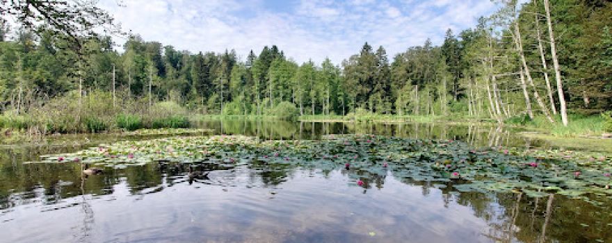 Freiämter Sagenweg