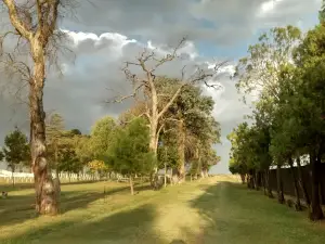prospero gomez Park