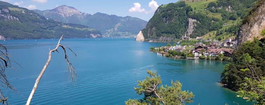 Buggiwald