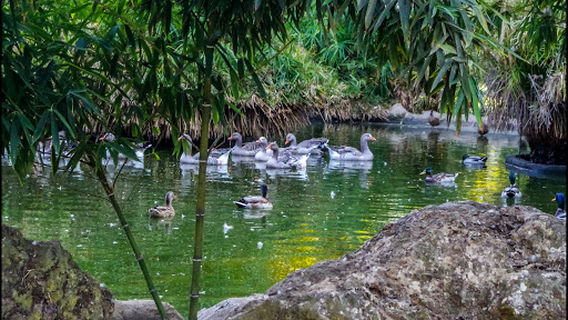 Municipal Prudencio Navarro Park