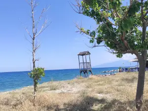Velika beach