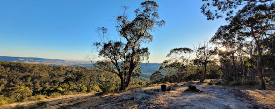 Tacconelli's Lookout