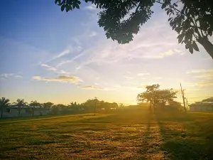 Campo Ferial Palmares