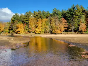 Big Eau Pleine County Park