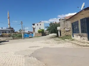 Paharın Başı