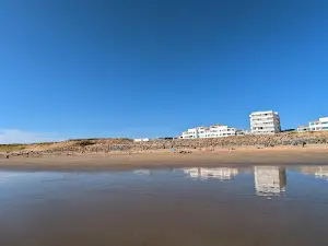 Beach Seagulls