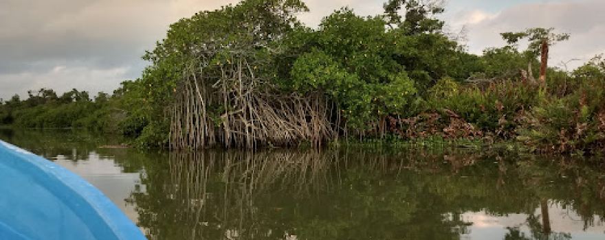 Playa Tecolutla, Veracruz