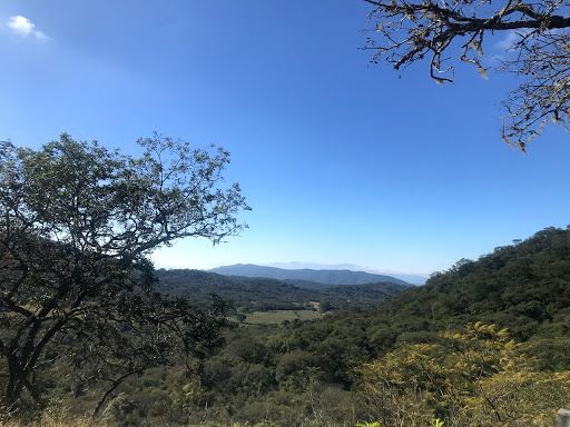 Reserva Parque Natural de la Ciudad, Salta, Argentina