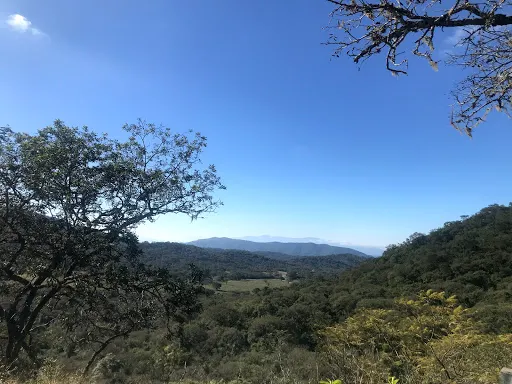 Reserva Parque Natural de la Ciudad, Salta, Argentina