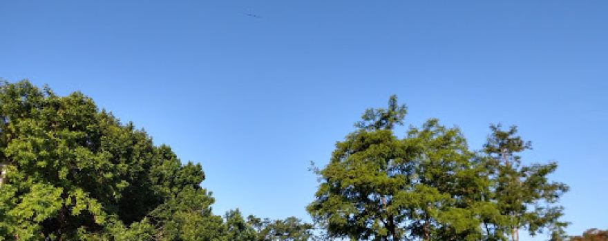 recreativo reconquista Park