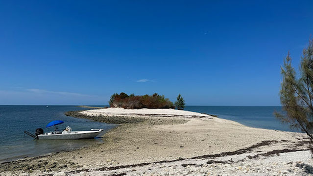 Reel Florida Fishing Charters