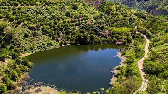Ecofinca Viña del Rio