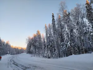 Pinega Nature Reserve