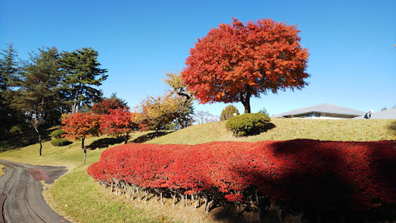 Katsunuma Golf Course