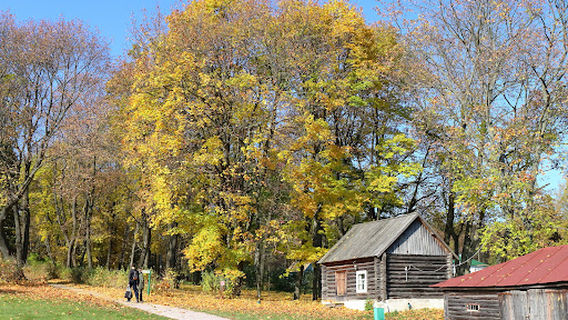 Yasnaya Polyana, Muzey-Usad'ba