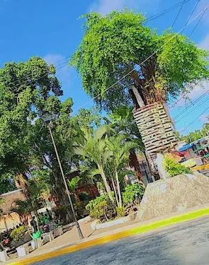 萊昂娜比卡里奧