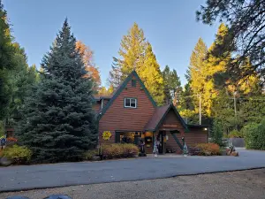 Mt. Lassen / Shingletown KOA Holiday