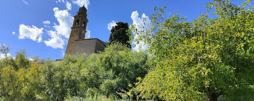 Petrarca's Tomb