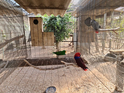 Kfar Hess Parrot Farm