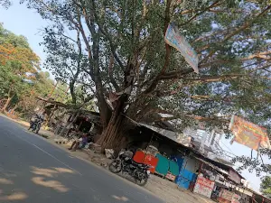 Saspan Puliya