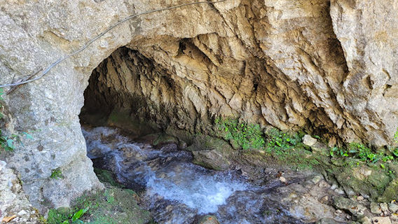 Fiume Brasa presso la "Forra"