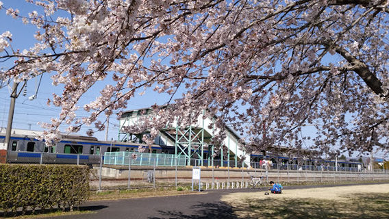 Sakuragawa