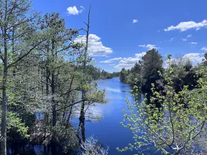 Kitty Hawk Woods Coastal Reserve Dedicated Nature Preserve