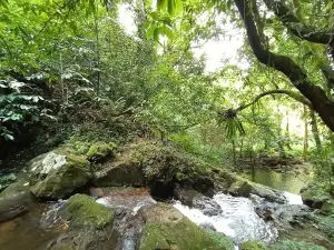 Sikog Waterfall Entrance