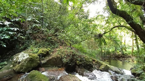 Сиког Уотерфолл Энтранс