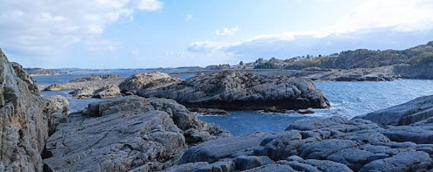 Storskori