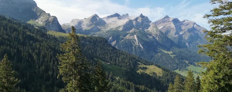 Chrinepass