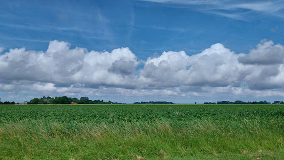 Atelier Theo Leijdekkers