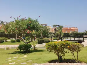 Health Club