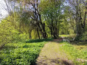 Kęstučio Kaltenio dendrologinis parkas