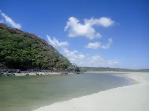 Mamanguape River