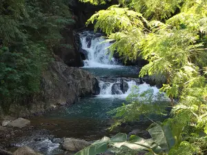 Curug Rahong