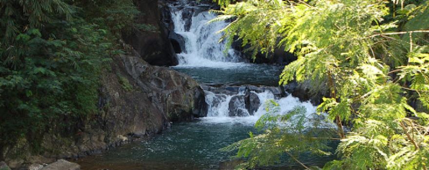 Curug Rahong