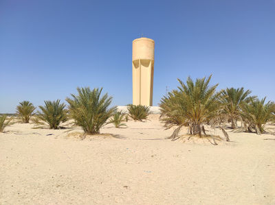 The Gateway to the Sahara Desert