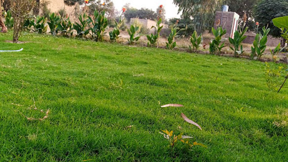 Annab Park