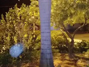Praça Eugênio de Araújo